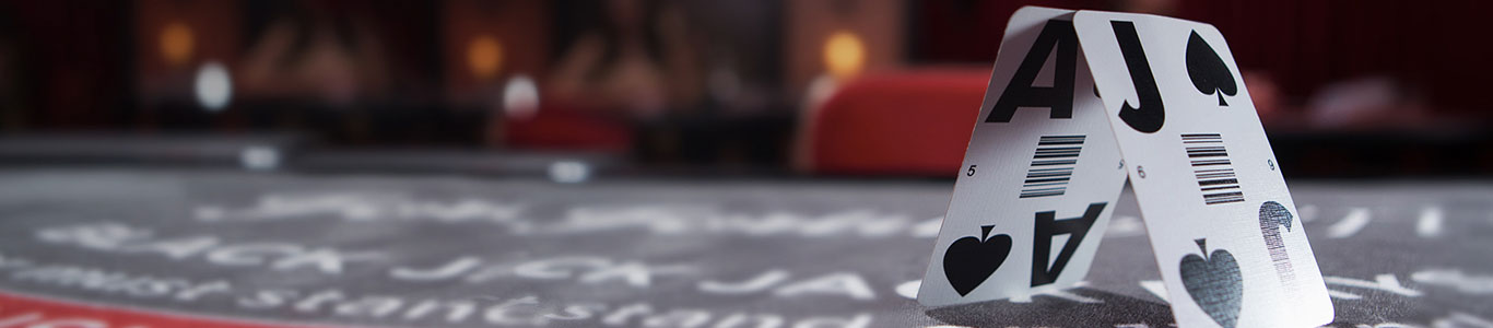 Mega Casino review banner