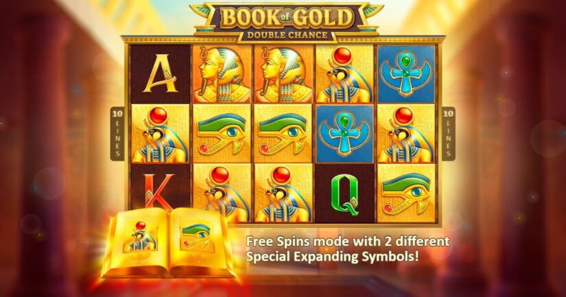 Book of Gold: Double Chance Slot by Playson
