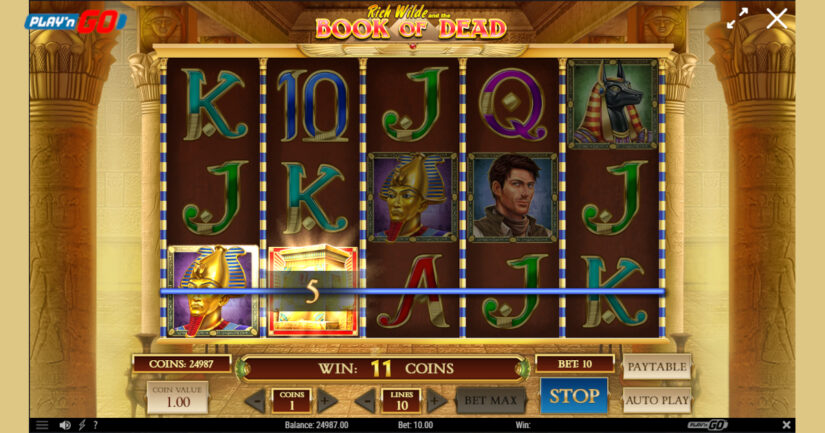 Slot Book of Dead de Playn'GO en España