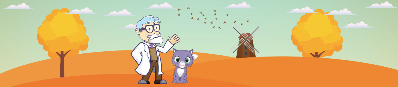 Professore con gatto radura e mulino