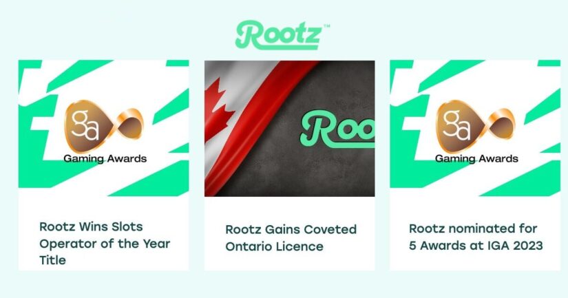 Awards won by Rootz LImited