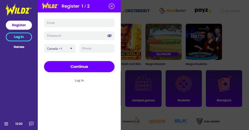 Fill out the details form at Wildz Casino